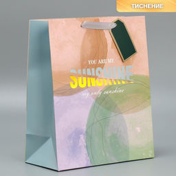 Пакет ламинированный Солнце моё, 25.4 30.5 12.7 см