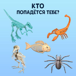 Набор для опытов Древний мир, МИКС - Эврики фото 2