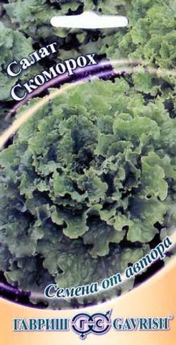 Скоморох салат листовой 1гр (г)