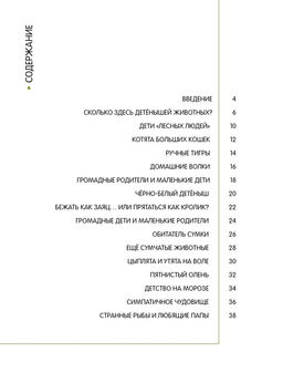 Детёныши животных в натуральную величину. Фогато В. - Махаон фото 3