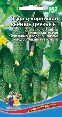 Огурец ВЕРНЫЕ ДРУЗЬЯ F1 Очень популярный!