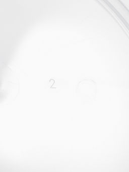 Цена за 60 шт. Ведро одноразовое с крышкой, 3 л, d=19 см, пластик пищевой, прозрачное - Simaland фото 7