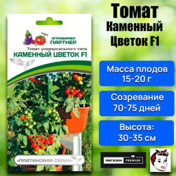 Томат Каменный Цветок - Партнер фото 2