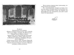 Малыш Николя (нов.оф.). Госинни Р.