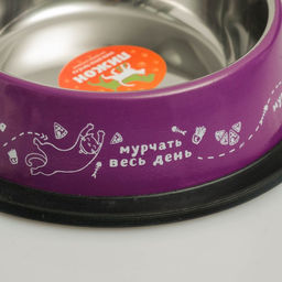 Миска с нескользящим основанием Пижон. Мурр, 230 мл  фото 5