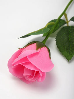 Мыльная роза розовая в коробке - SB BEAUTY фото 6