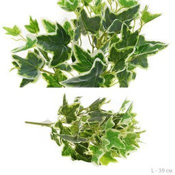 Зелень искусственная Плющ 39 см / 7034W /уп 400/ - Галеонтрейд фото 4