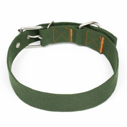 Ошейник брезентовый однослойный, 72 х 3,5 см, хаки - Пижон фото 2
