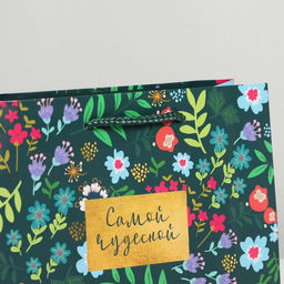 Цена за 2 шт. Пакет подарочный ламинированный, упаковка, Present for you, MS 23×18×8 см