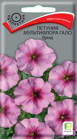 Петуния мультифлора Гало Орхид ("1) (ЦВ) 10 шт