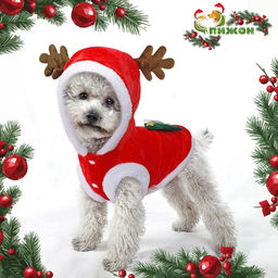 Костюм для животных Новогодний оленёнок, XL (ДС 35, ОГ 47 см)