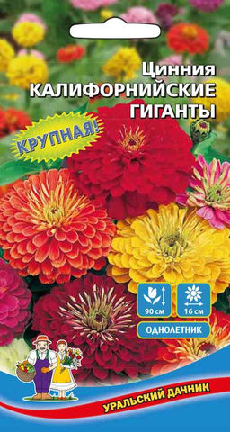 Цинния КАЛИФОРНИЙСКИЕ ГИГАНТЫ