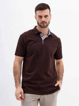 Джемпер мужской с воротником поло короткий рукав GREG G144-KO1246T-SAS5104 (коричневый)  фото 4