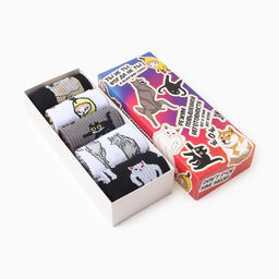 Носки мужские KAFTAN Mem socks, р. 41-44 (27-29 см), набор 5 пар