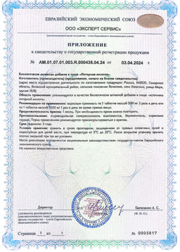 (ЧЗ) БАД Янтарная кислота 60 таблеток 500 мг тм AWOCHACTIVE  фото 9