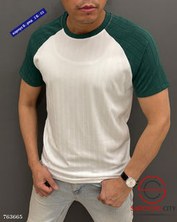 Мужская однотонная футболка