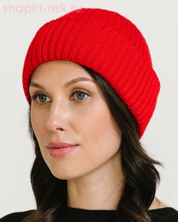 243 T Шапка (56-58)