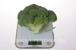 Капуста брокколи Фиеста - Партнер фото 3