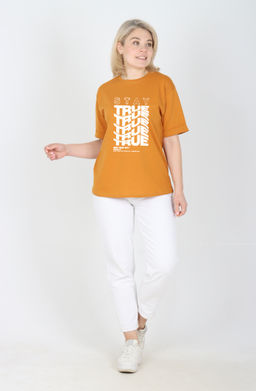 Футболка Алиса Ф-93 (44-62) кулирка - Лотос фото 9