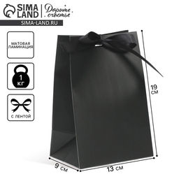 Пакет подарочный с лентой, упаковка, «Чёрный», 13 х 19 х 9 см