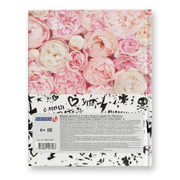 Светоч Дневник школьный 5-11 класс, матовая ламинация + выборочный лак, A5+ 48 л. 12 шт. твердый переплет 60 г/кв.м Миленько 48ДТ5_000071  фото 3