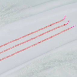 Бусины для украшений из розового Кальцита (130 бусин) 39 см