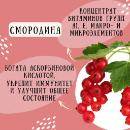 Камлёвъ Черный чай Белорусская смородина, 48 г (16 саше) - Камлевъ фото 8