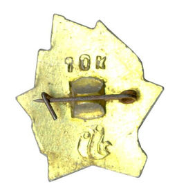 Значок Всегда Готов!