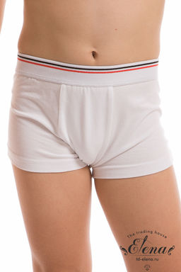 Боксеры М21827б