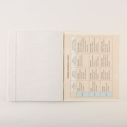 Тетради предметные, 48 л., А5, набор из 3 шт., «КОТ»