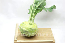 Капуста кольраби Гигант - Партнер фото 3