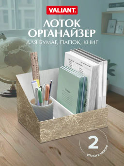 VAL TC-A-VP-300mono Лоток - органайзер для бумаг, 30*23*20 см., набор 2 шт., моно, TRAVELLING, шт