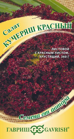 Кучеряш красный салат 0,5 гр (г)