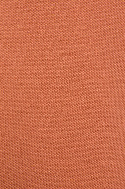 Erkek _ocuk G_l Kurusu Polo Yaka Basic Ti__rt