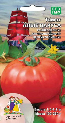 Томат АЛЫЕ ПАРУСА Раннеспелый! Крупноплодный! Неприхотливый!