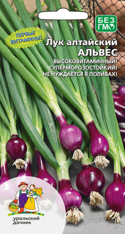 Лук алтайский АЛЬВЕС