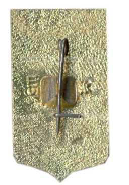 Значок Пенза