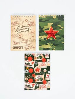 Подарочный набор, ручки 15 шт., открытки 15 шт., блокноты 15 шт. «С 23 февраля»