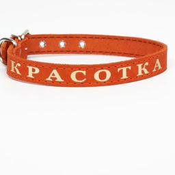 Ошейник кожаный однослойный, тиснёный Красотка, 48 х 2 см, ОШ 32-43 см, микс цветов - Пижон фото 3