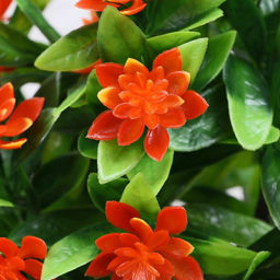 Бонсай в горшке «Волнистые цветы», 10×24 см, МИКС