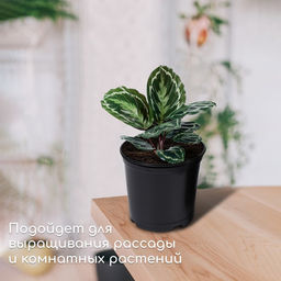Цена за 70 шт. Горшок для рассады, 1 л, d=13 см, h=10.5 см, чёрный, Greengo