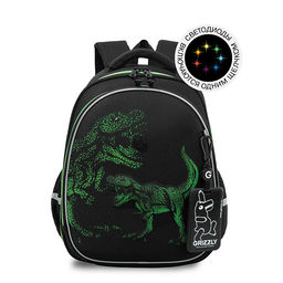 RAz-687-8 Рюкзак школьный с картхолдером на держателе - Grizzly фото 38