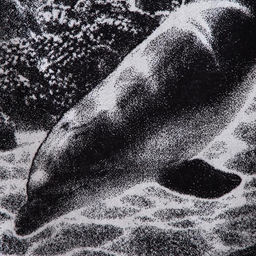 Полотенце махровое Этель ЧБ Дельфин, пестроткань, 70х130 см  фото 2