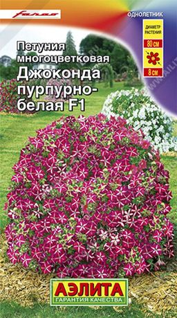 Петуния Джоконда F1 пурпурно-белая (2023)