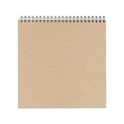 "Mr.Painter" ZKL-03 Заготовка для альбома (на пружинке) 1250 г/кв.м 20 x 20 см 5 л. 01 Серебристая пружина