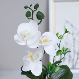 Цветочная композиция Орхидея 24 см / FH467A /уп 24/144/без индивидуальной упаковки - Галеонтрейд фото 23