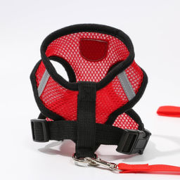 Шлейка дышащая с поводком и светоотражающей нашивкой, S, ОШ 27, ОГ 30-38,красная - Пушистое счастье фото 3