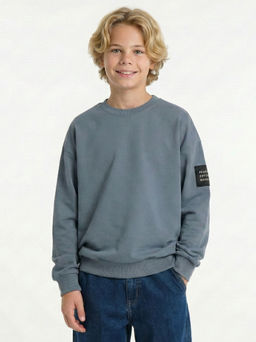 Лонгслив с нашивкой 22-7310 серо-голубой