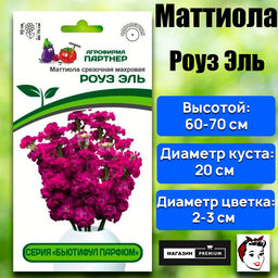 3325P Маттиола срезочная махровая "Бьютифул Парфюм" РОУЗ ЭЛЬ 10шт