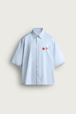 CAMISA BOXY FIT GR?FICOS ESTAMPADOS / Azul - Zara фото 7